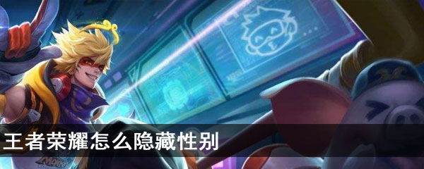 王者荣耀怎么隐藏性别