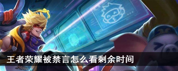 王者荣耀被禁言怎么看剩余时间