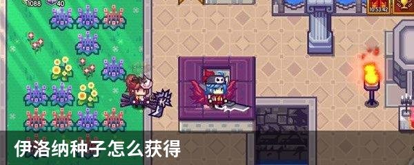 伊洛纳种子怎么获得