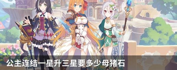 公主连结一星升三星要多少母猪石
