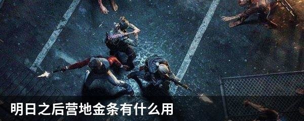 明日之后营地金条有什么用
