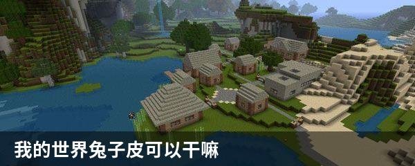 我的世界兔子皮可以干嘛