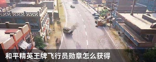 和平精英王牌飞行员勋章怎么获得