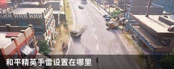 和平精英手雷设置在哪里