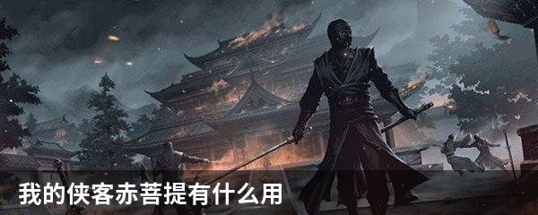 我的侠客赤菩提有什么用