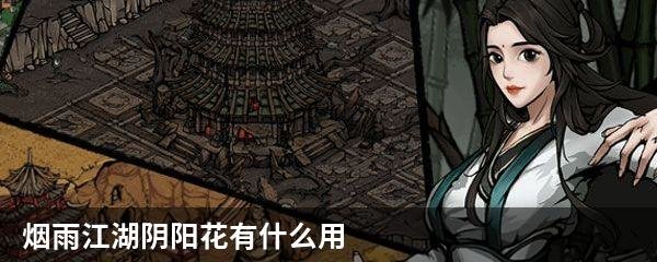 烟雨江湖阴阳花有什么用