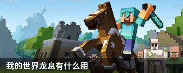 我的世界龙息有什么用