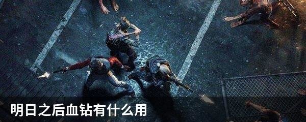 明日之后血钻有什么用