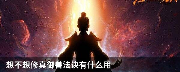 想不想修真御兽法诀有什么用