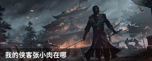 我的侠客张小肉在哪