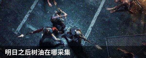 明日之后树油在哪采集