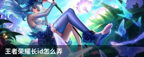 王者荣耀长id怎么弄