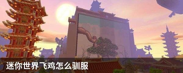 迷你世界飞鸡怎么驯服