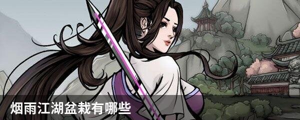 烟雨江湖盆栽有哪些