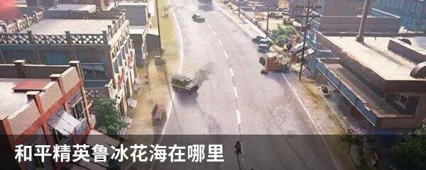 和平精英鲁冰花海在哪里