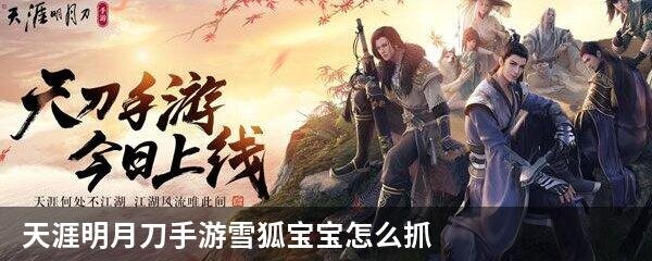 天涯明月刀手游雪狐宝宝怎么抓