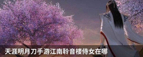 天涯明月刀手游江南聆音楼侍女在哪