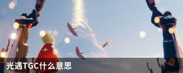 光遇TGC什么意思