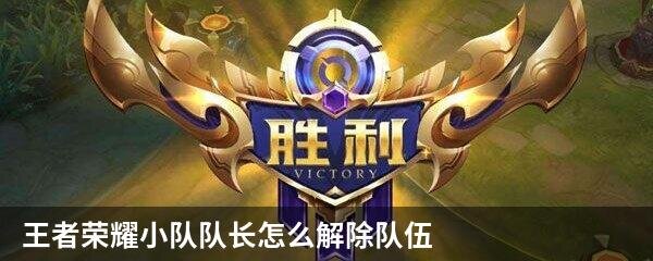王者荣耀小队队长怎么解除队伍