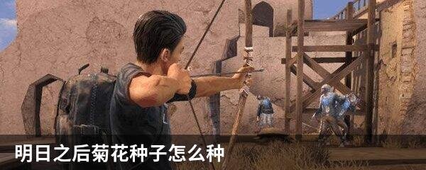 明日之后菊花种子怎么种