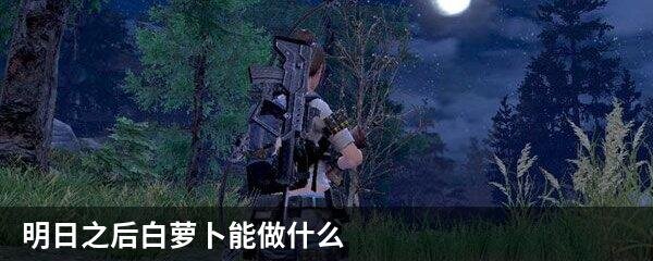 明日之后白萝卜能做什么