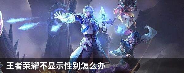 王者荣耀不显示性别怎么办