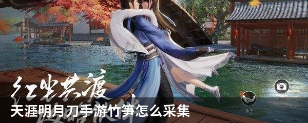 天涯明月刀手游竹笋怎么采集