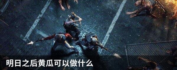 明日之后黄瓜可以做什么