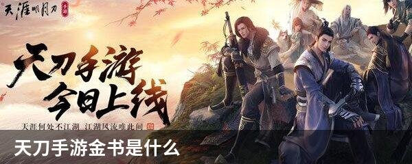 天刀手游金书是什么