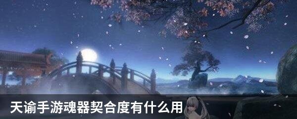 天谕手游魂器契合度有什么用