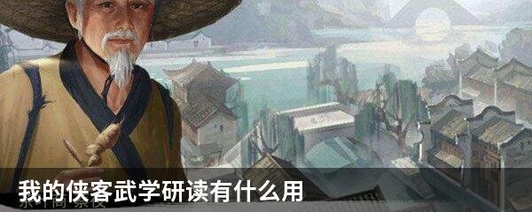 我的侠客武学研读有什么用