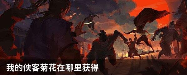 我的侠客菊花在哪里获得