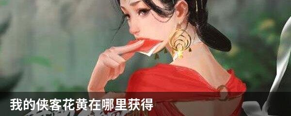 我的侠客花黄在哪里获得