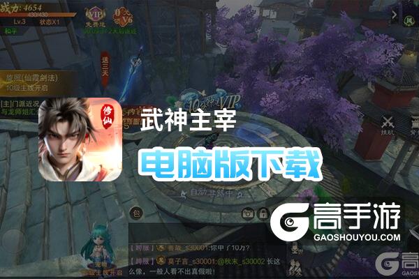 武神主宰电脑版