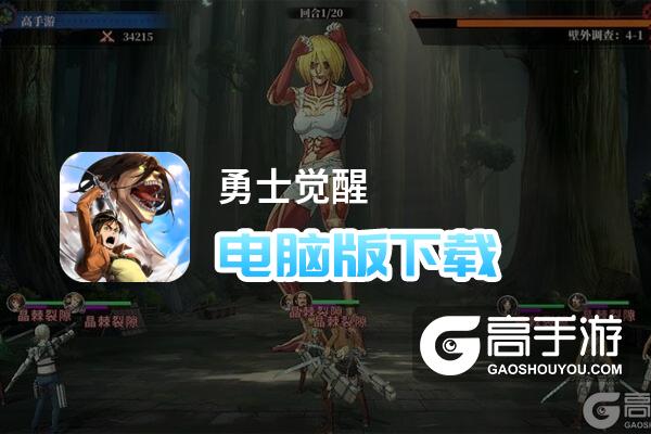 勇士觉醒电脑版