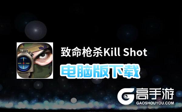 致命枪杀Kill Shot电脑版下载 怎么电脑玩致命枪杀Kill Shot？