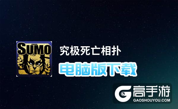 究极死亡相扑电脑版下载 究极死亡相扑电脑版安卓模拟器推荐