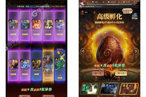少年驯龙记2025