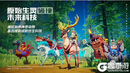 高手游