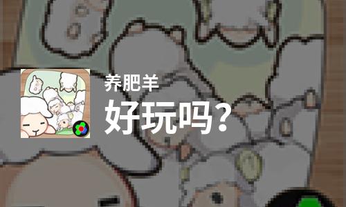  养肥羊好玩吗