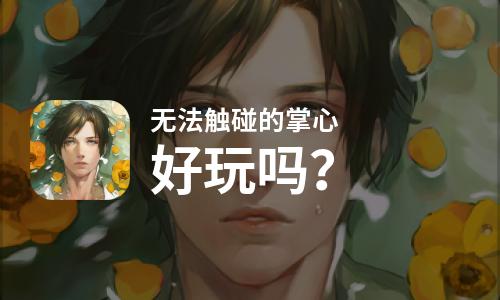  无法触碰的掌心好玩吗