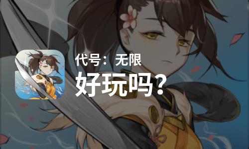  代号：无限好玩吗