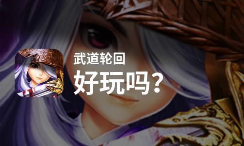  武道轮回好玩吗