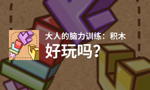  大人的脑力训练：积木好玩吗