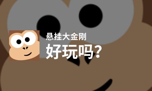  悬挂大金刚好玩吗