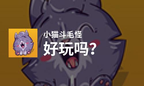  小猫斗毛怪好玩吗