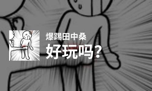 爆踢田中桑好玩吗？爆踢田中桑好不好玩评测