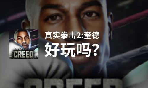  真实拳击2:奎德好玩吗