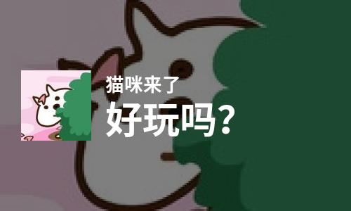  猫咪来了好玩吗