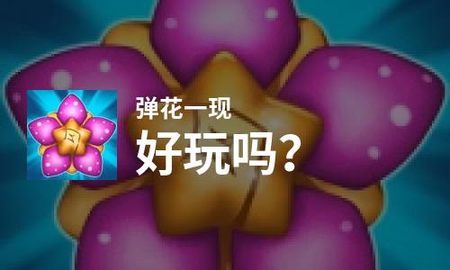  弹花一现好玩吗